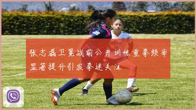 张志磊卫冕战前公开训练重拳频率显著提升引发拳迷关注